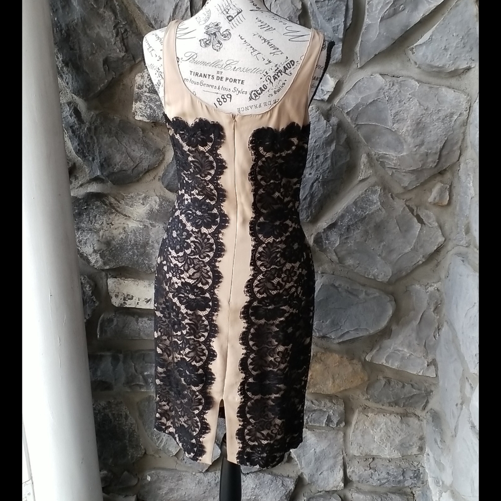 Chetta B Lace Panel Dress